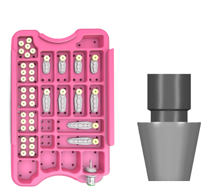 NeoBiotech - IS SASK Custom-Abutement önizlemesi